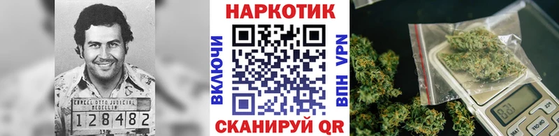 Купить наркотики Новоалександровск мега рабочий сайт КОКАИН АМФ Конопля МЕФ A PVP Псилоцибиновые грибы
