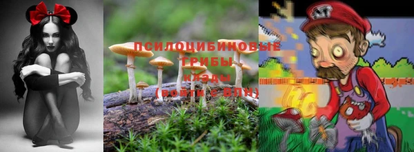 ешки Балахна