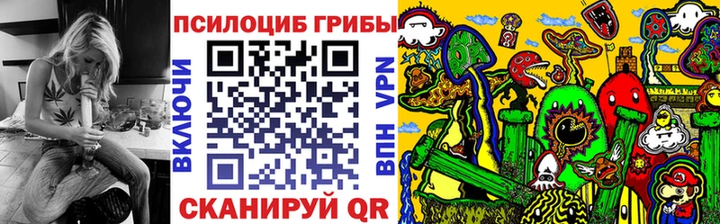 Псилоцибиновые грибы Psilocybe  MEGA как войти  Новоалександровск 